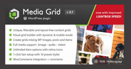 Media Grid Responsive Portfolio WP GPL Plugin Theme