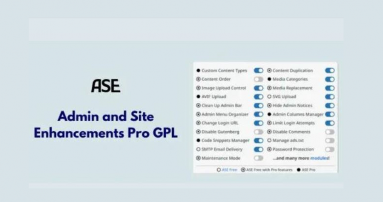 Admin and Site Enhancements Pro WP GPL ASE Pro