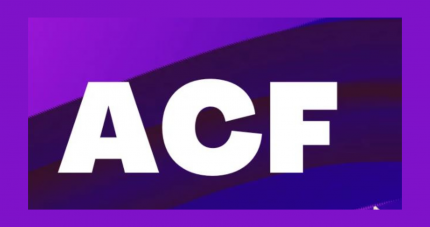 ACF Theme code pro WP GPL